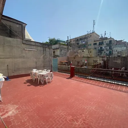 Apartment Solarium House